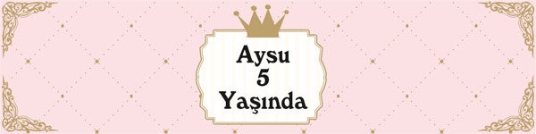 Prenses Doğum Günü Peçete Sargısı 6 Adet
