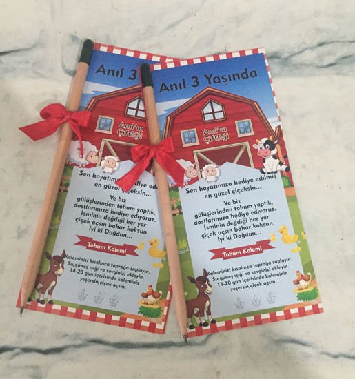 Çiftlik Temalı Kişiye Özel Tohum Kalemi 6 Adet