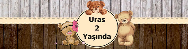 Ayıcık Doğum Günü Peçete Sargısı 6 Adet
