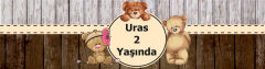 Ayıcık Doğum Günü Peçete Sargısı 6 Adet
