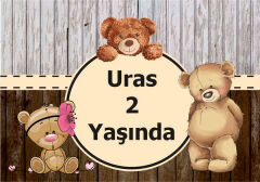 Ayıcık Doğum Günü Magneti 6 Adet