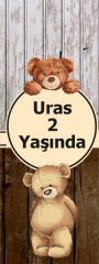 Ayıcık Doğum Günü Kitap Ayracı 6 Adet