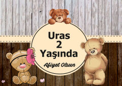 Ayıcık Doğum Günü Amerikan Servisi 6 Adet