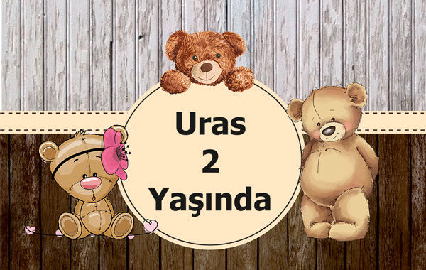 Ayıcık Doğum Günü Afiş