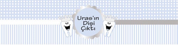 Diş Buğdayı Erkek Peçete Sargısı 6 Adet