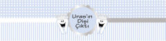 Diş Buğdayı Erkek Peçete Sargısı 6 Adet