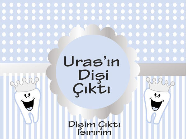 Diş Buğdayı Erkek Magnet 6 Adet