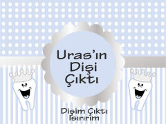 Diş Buğdayı Erkek Magnet 6 Adet
