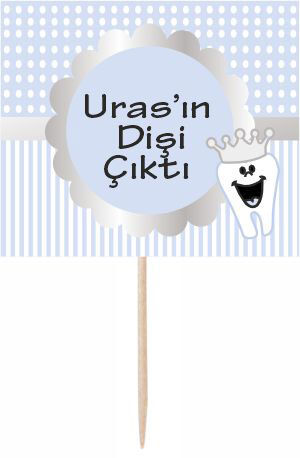 Diş Buğdayı Erkek Küçük Kürdan Süs 6 Adet