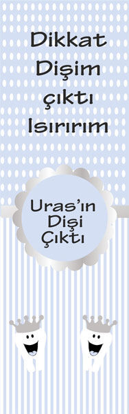 Diş Buğdayı Erkek Kitap Ayracı 6 Adet