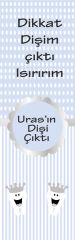 Diş Buğdayı Erkek Kitap Ayracı 6 Adet