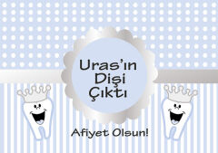 Diş Buğdayı Erkek Amerikan Servisi 6 Adet