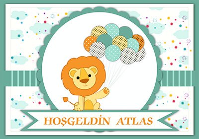 Sevimli Aslan Kişiye Özel Amerikan Servisi 6 Adet