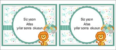 Sevimli Aslan Kişiye Özel Hatıra Kartı 6 Adet