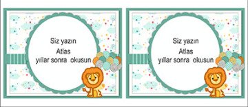 Sevimli Aslan Kişiye Özel Hatıra Kartı 6 Adet