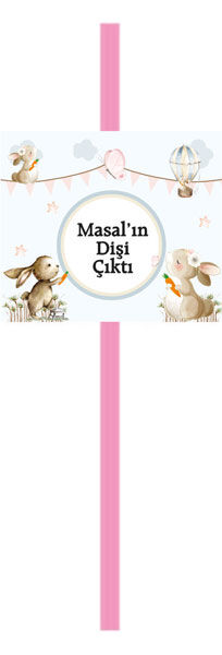 Diş Buğdayı Kız Pipet 6 Adet