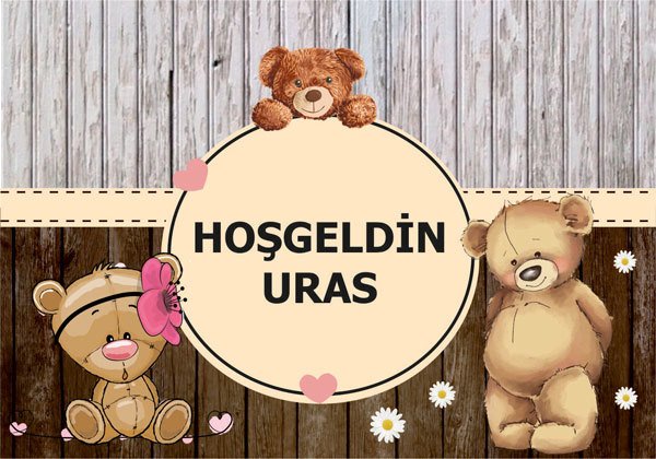 Ayıcık Temalı Kişiye Özel Magnet 10 Adet