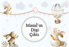 Diş Buğdayı Kız Magnet 6 Adet