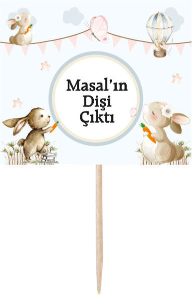 Diş Buğdayı Kız Küçük Kürdan Süs 6 Adet