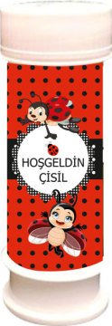 Uğur Böceği Temalı Kişiye Özel Köpük 6 Adet