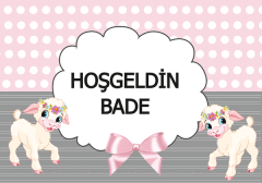 Kuzu Yenidoğan Afiş