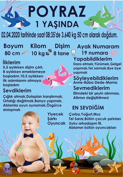 Sevimli Köpek Balığı Temalı Kişiye Özel Anı Magneti 1 Adet