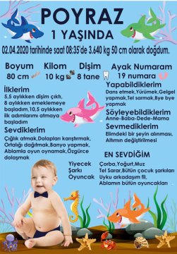 Sevimli Köpek Balığı Temalı Kişiye Özel Anı Magneti 1 Adet