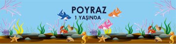 Sevimli Köpek Balığı Temalı Kişiye Özel Peçete Sargısı 6 Adet