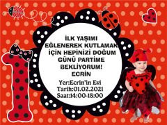 Uğur Böceği 2 Temalı Kişiye Özel Davetiye 6 Adet