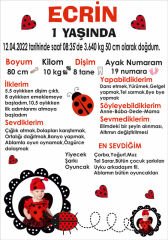 Uğur Böceği Temalı Kişiye Özel Anı Magneti 1 Adet