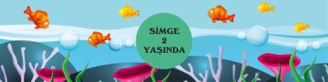 Okyanus Kişiye Özel Peçete Sargısı 6 Adet