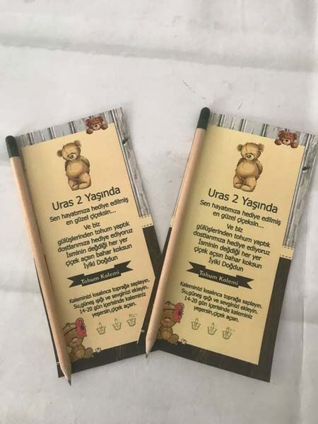 Ayıcık Doğum Günü Tohum Kalemi 6 Adet