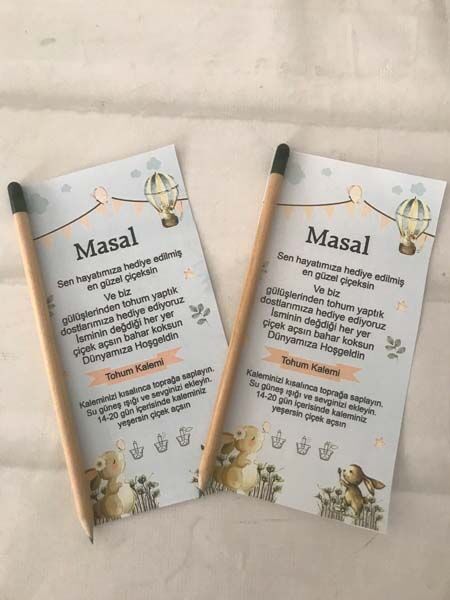 Tavşan Yenidoğan Tohum Kalemi 6 Adet