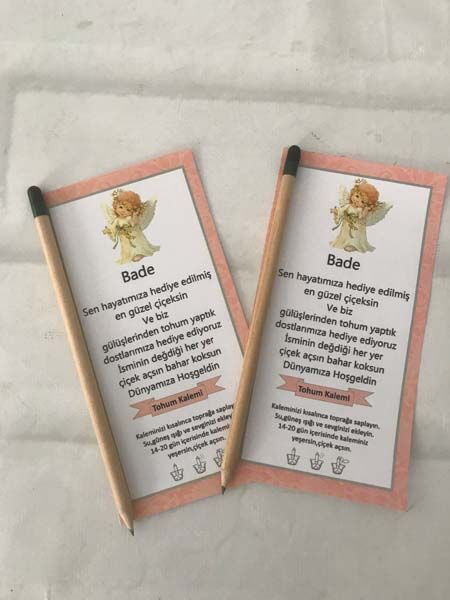 Melek Yenidoğan Tohum Kalemi 6 Adet
