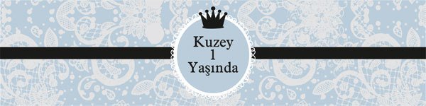 Prens 1 Temalı Kişiye Özel Peçete Sargısı 6 Adet