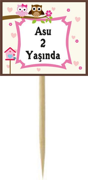 Baykuş Temalı Kişiye Özel Küçük Kürdan1 12 Adet