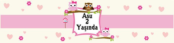Baykuş Temalı Kişiye Özel Peçete Sargısı 6 Adet