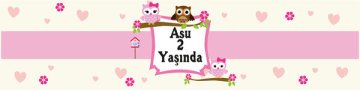Baykuş Temalı Kişiye Özel Peçete Sargısı 6 Adet