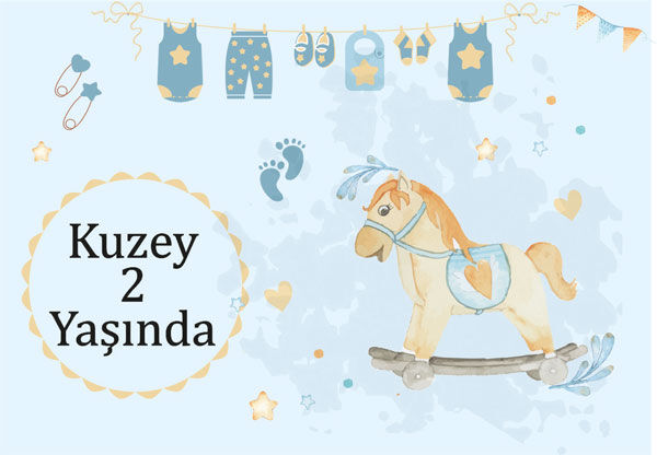 Atlı Karınca Doğumgünü Magnet 6 Adet