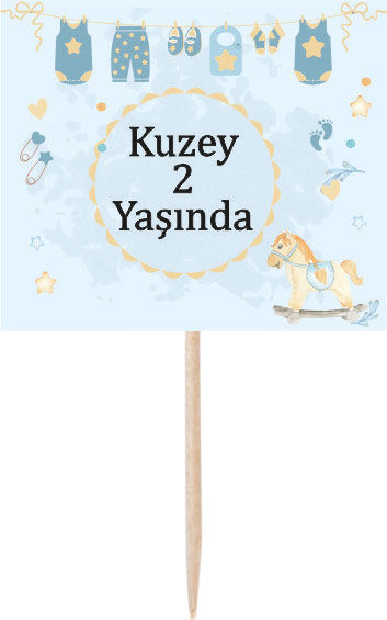 Atlı Karınca Doğum Günü Kürdan Süs 6 Adet