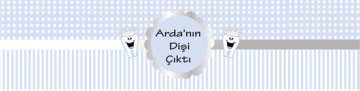 Diş Buğdayı Erkek Kişiye Özel Peçete Sargısı 6 Adet