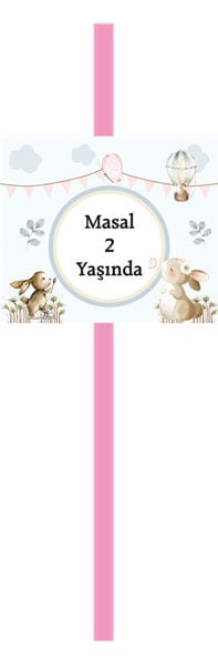 Tavşan Doğum Günü Pipet 6 Adet